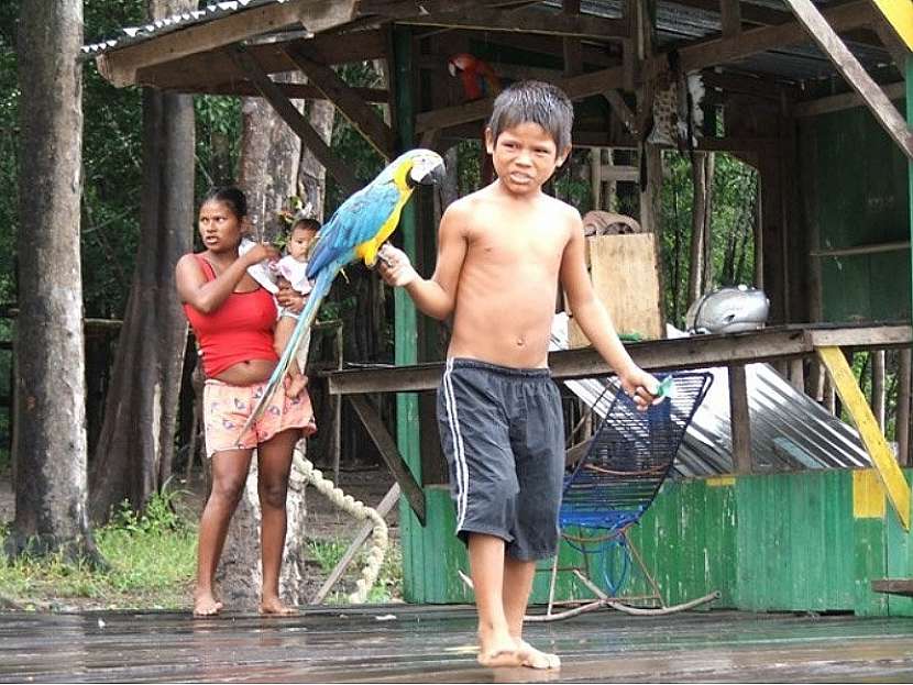 Manaus - hlavní město brazilského státu Amazonia