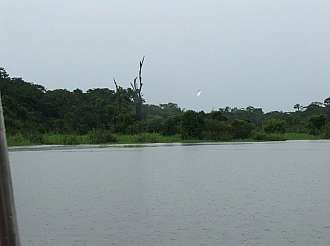 Manaus - hlavní město brazilského státu Amazonia