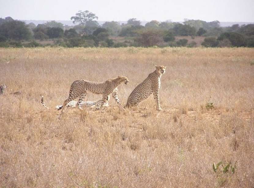 Keňa to není jen safari
