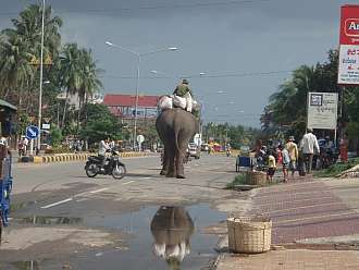 Kambodza 3/2009
