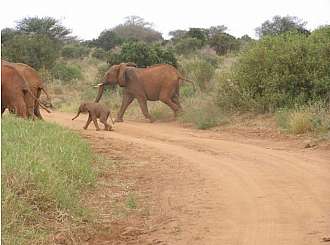 Keňa to není jen safari