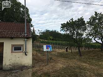 Vinařská vesnička Wildendürnbach