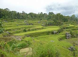 Torajská oblast středního Sulawesi