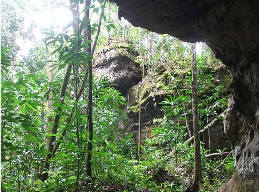 Manaus - hlavní město brazilského státu Amazonia