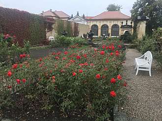 Děčínský zámek - růžová zahrada