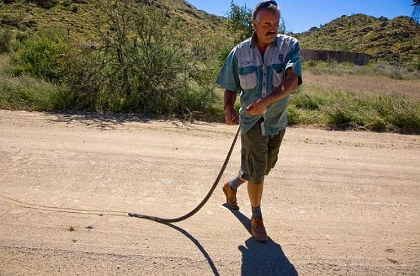 Lovci fotografií spomínajú na Namíbiu