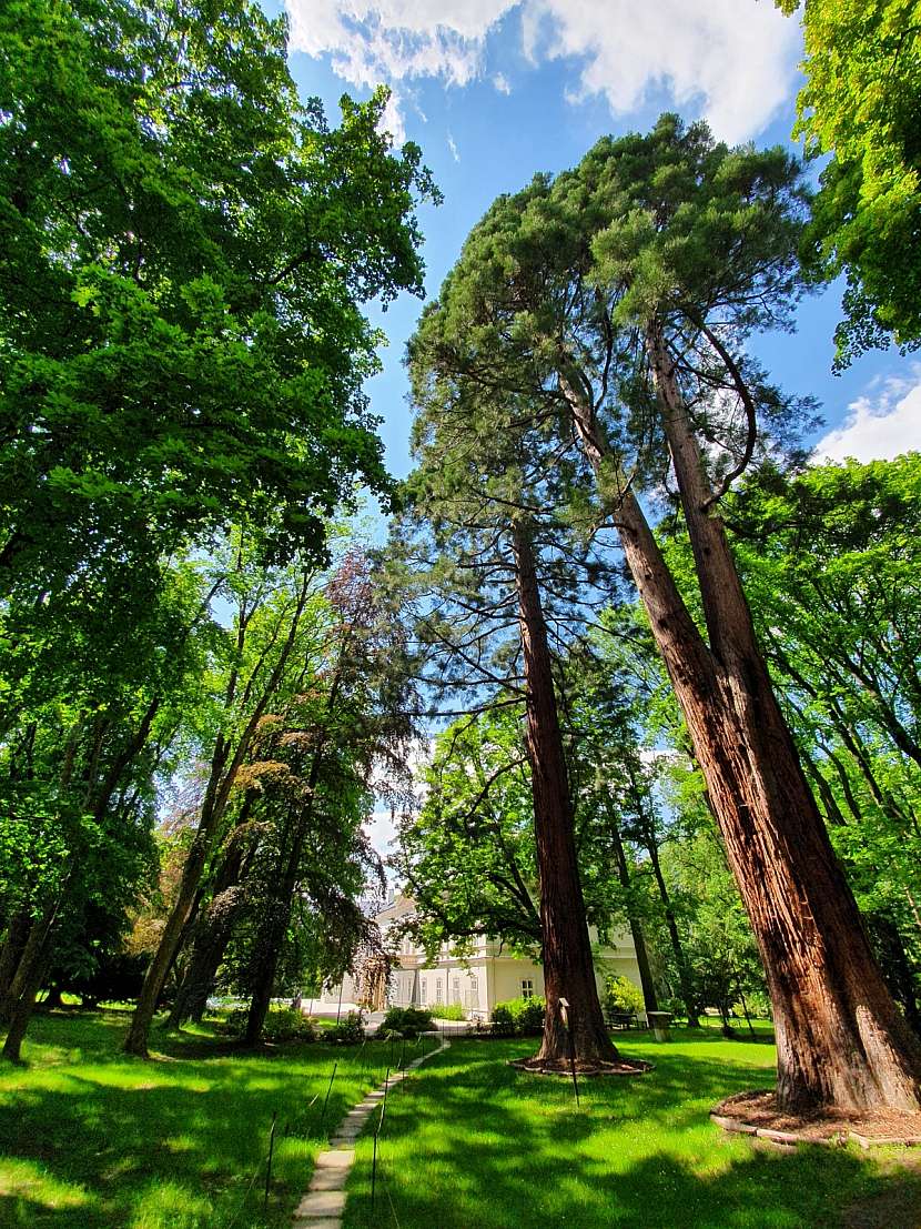 Ratměřický zámek a park