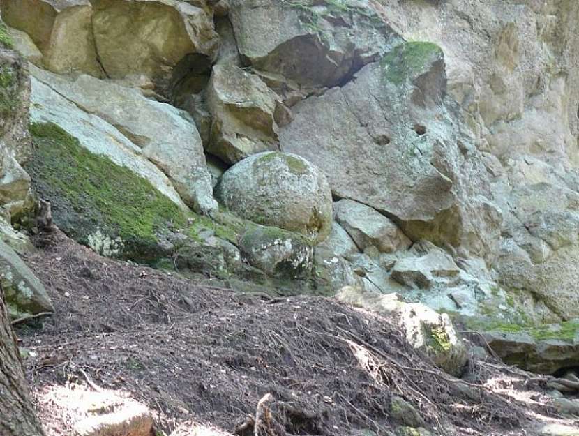 Klokočovské gule v Kysuckých Beskydech