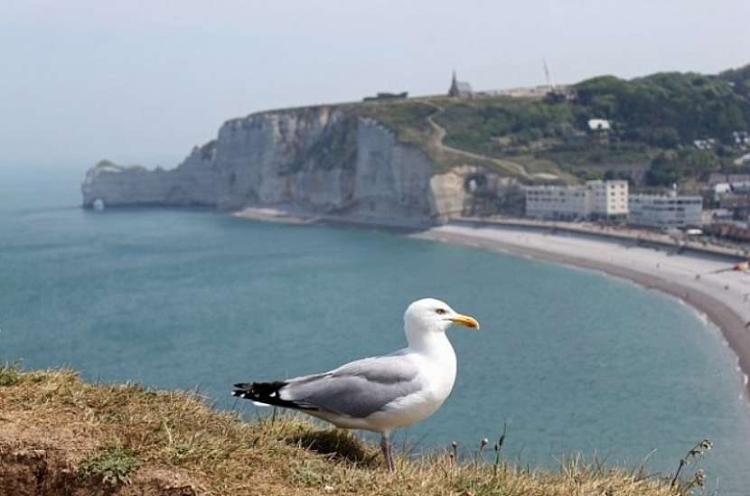 Étretat vás nadchne