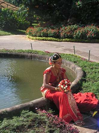 Nevěsty a nejen ony na exotické Srí Lance