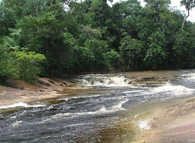 Manaus - hlavní město brazilského státu Amazonia