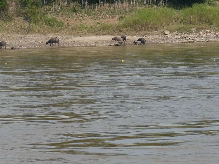 Plavba po řece Mekong