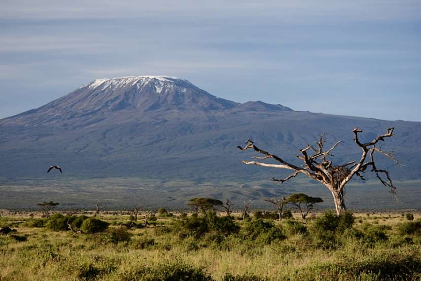 Příroda Keňi a Tanzánie