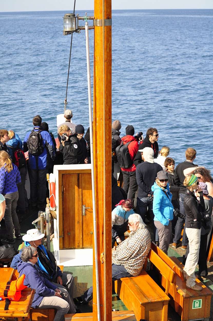 Pozorování velryb je na Islandu mezi turisty velmi populární.