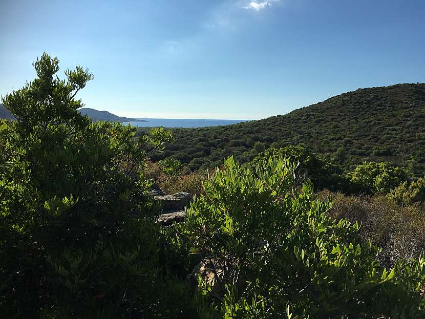 Nejkrásnější pláže Korsiky Plage de Lotu a Plage de Salecia