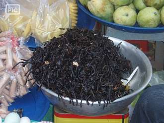 smazene taranrule