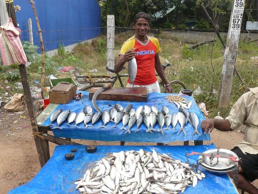 Ryby z hlubin Indického oceánu