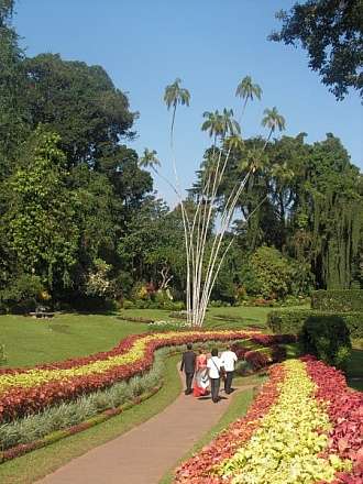 Královská botanická zahrada Peradeniya v Kandy