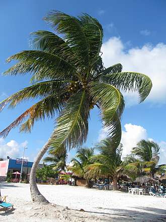 Mexico - Bacalar, Mahahual, Playa del Carmen